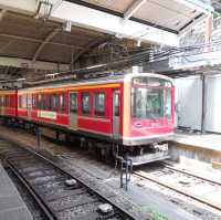 Exploring Hakone 