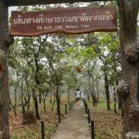 Misty view at Sai Thong National Park