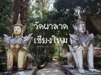วัดป่า ของดอยสุเทพ