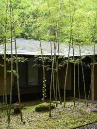 竹泉荘