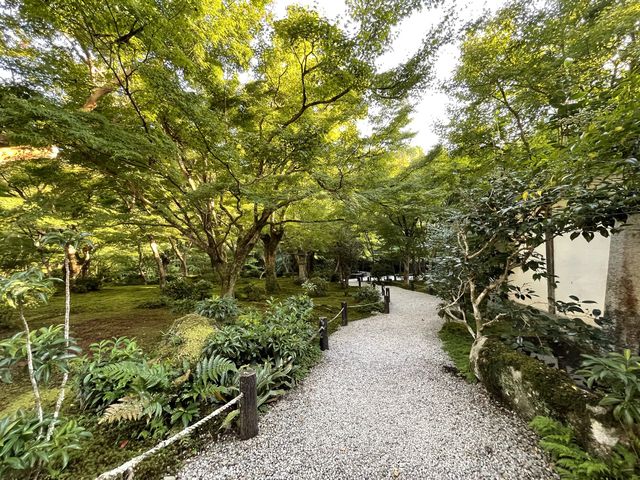 【京都】圓光寺　波紋の美と木々の緑