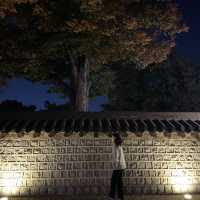 전주 유일한 4성급 호텔 라한호텔