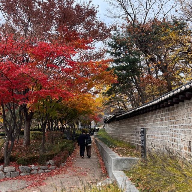 韓国/ソウル【安国】ソウルタワーも見える💕韓屋カフェ 韓国/ソウル【安国】ソウルタワーも見える💕韓屋カフェ