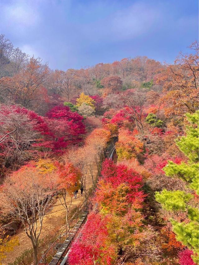 단풍여행에서 꼭 가야할 화담숲✨