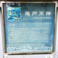 【東京】鳥居から眺めるスカイツリー