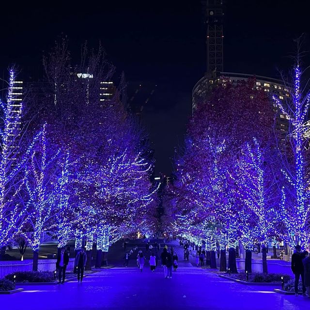 青之洞窟澀谷😍✅日本超夢幻聖誕🎄打卡必到大街😳