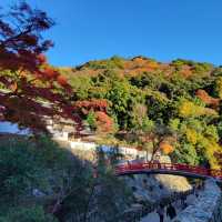 日本最古的修行地之一｜瀧安寺