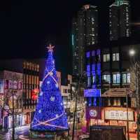 울산 크리스마스트리 명소 