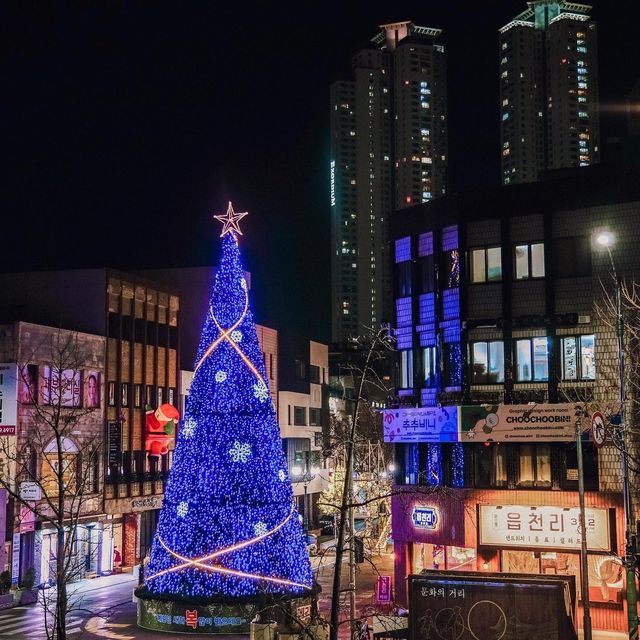 울산 크리스마스트리 명소 