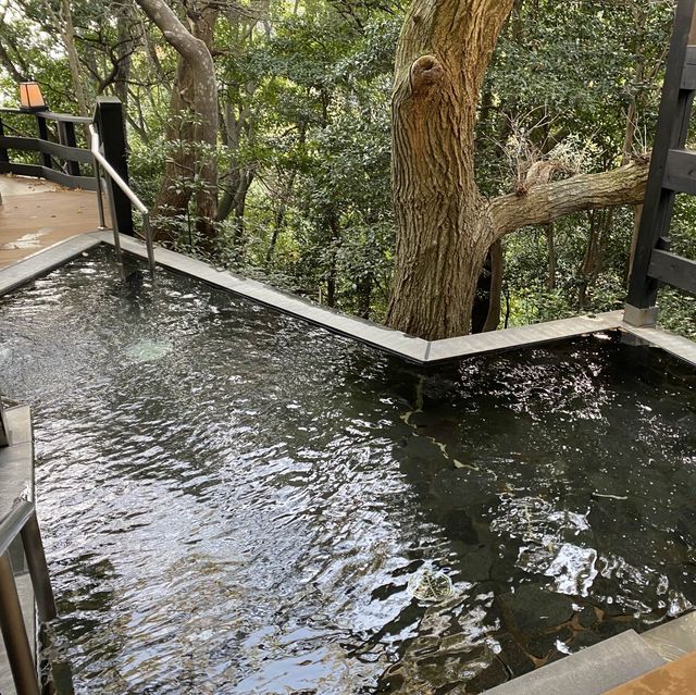 湯之山溫泉 彩向陽 滿分溫泉住宿體驗