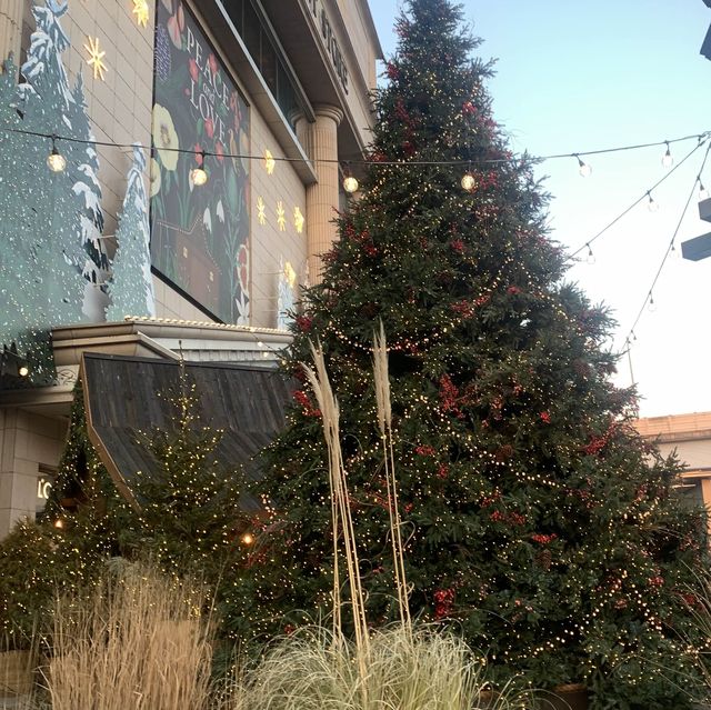 압구정 현대백화점에 찾아온 크리스마스 🎄