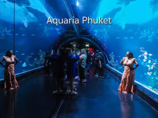 Aquaria Phuket พิพิธภัณฑ์สัตว์น้ำที่ใหญ่ที่สุด