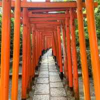 根津神社の千本鳥居