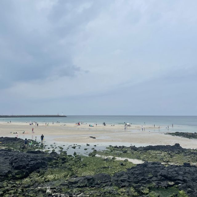제주 동쪽 힐링하기 좋은 세화해변
