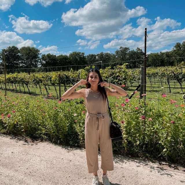 The Dry Comal Creek Vineyards