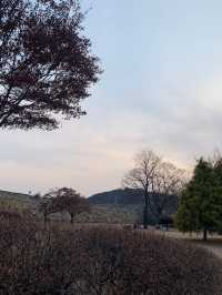 세계문화유산 수원화성