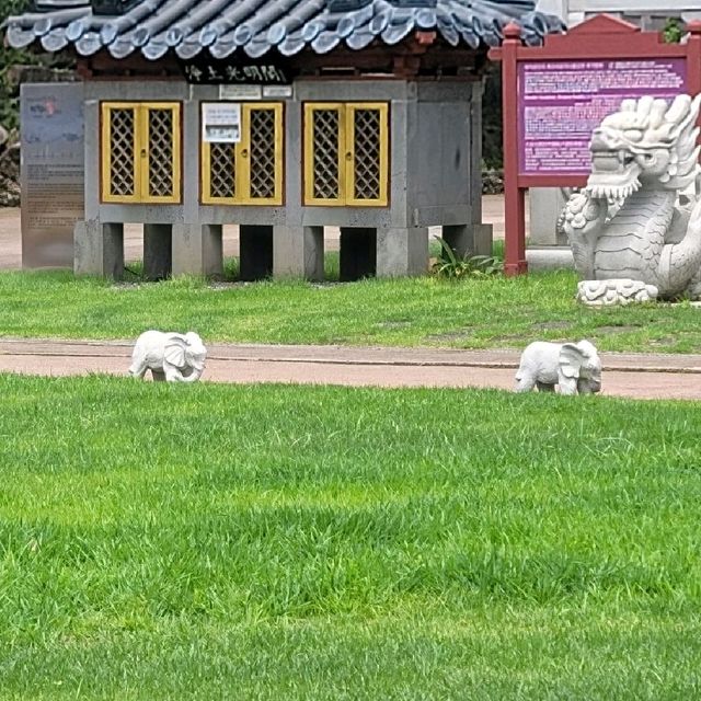 제주도 서귀포 중문에 위치한 절 약천사로 come‼️
