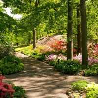 Botanical Garden at New York