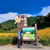 20210901赤科山千噸石龜金針花況 
