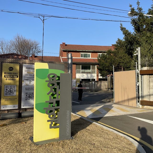 겨울에도 용산공원에서 인생샷을 건질 수 있다구!