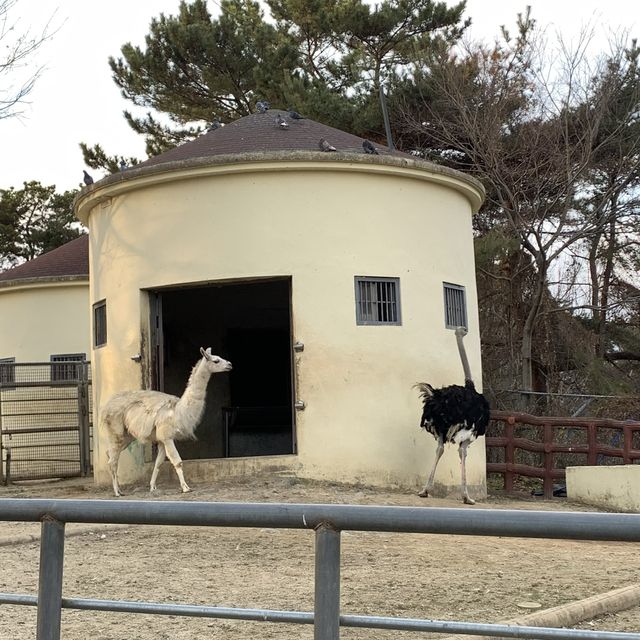 [진주 필수코스 ‘진양호동물원’]