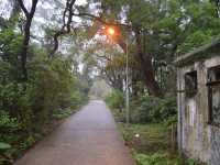 NgongPing Cable Car and Village