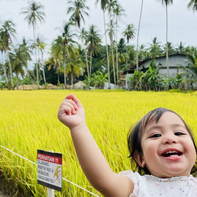 kampung agong, penaga