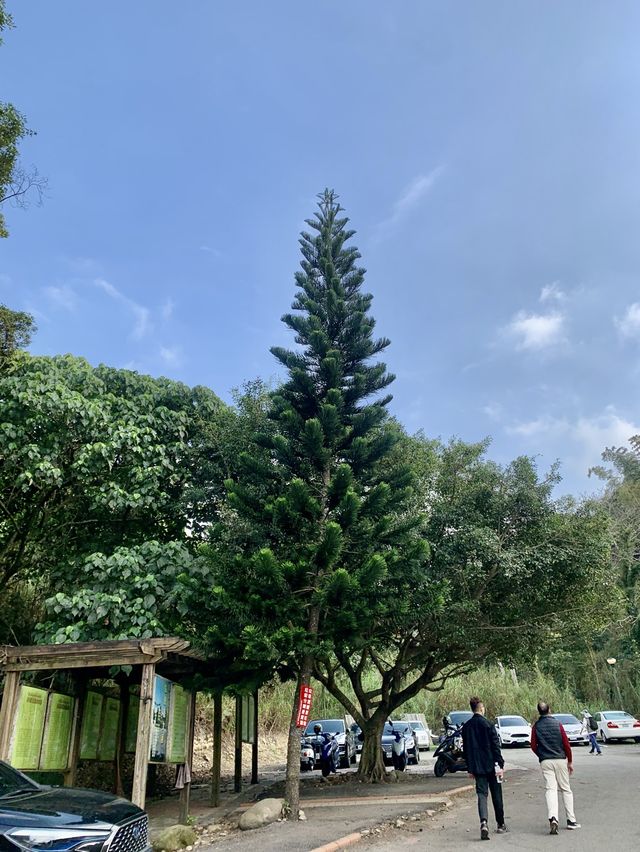 員林藤山步道｜彰化人的後花園，爬山健走的好地方！