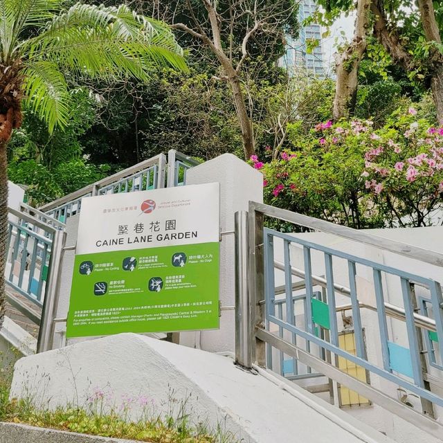 情侶好去處 ～ 堅巷花園 