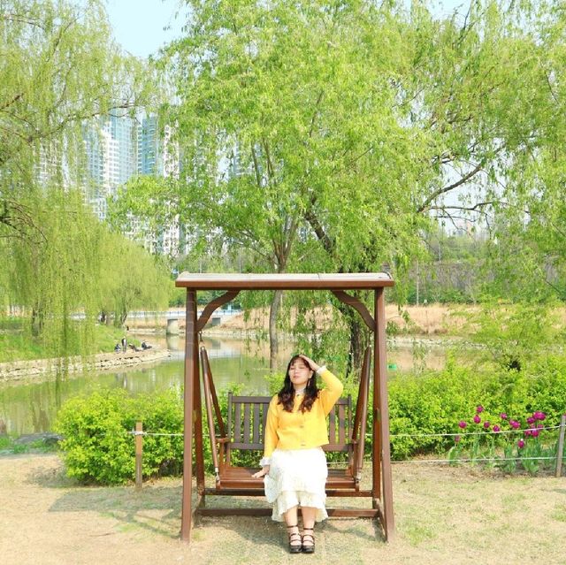 유채꽃이 예쁜 반포한강공원 '서래섬'