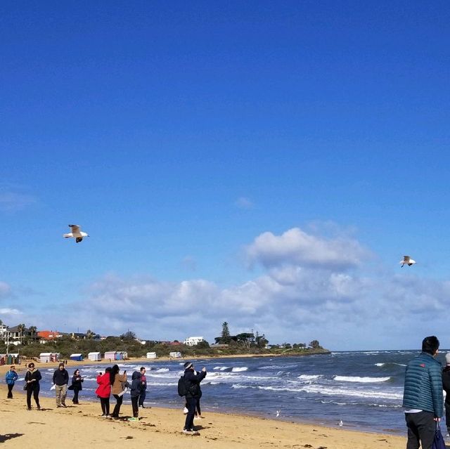 無敵海景 ～ Brighton Beach 