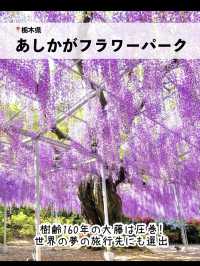 絶景！GWが見頃のお花畑スポット7選