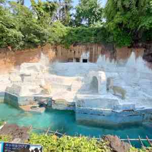 大阪 天王寺 夜の遊園地 天王寺動物園 Trip Com 大阪の旅のブログ