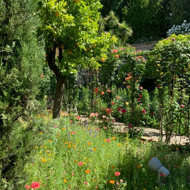 スペインのアルハンブラ宮殿に行ってきた🙋‍♀️