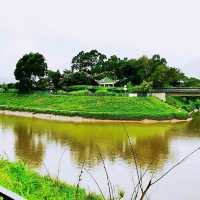 上水虎地坳、河上鄉賞花遊蹤
