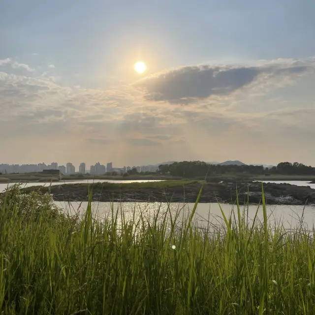 부산 을숙도