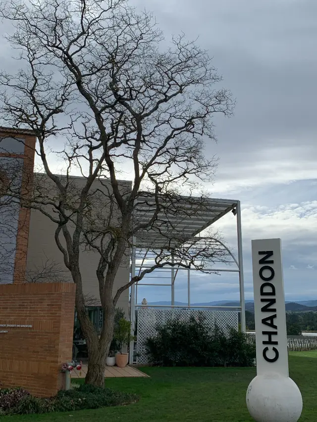 Chandon @ nice vineyard in Melb 🇦🇺