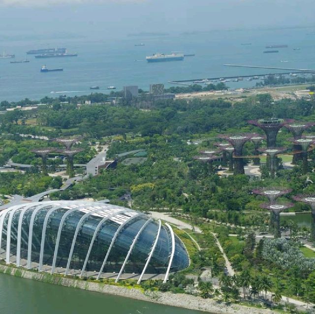 Singapore Flyer