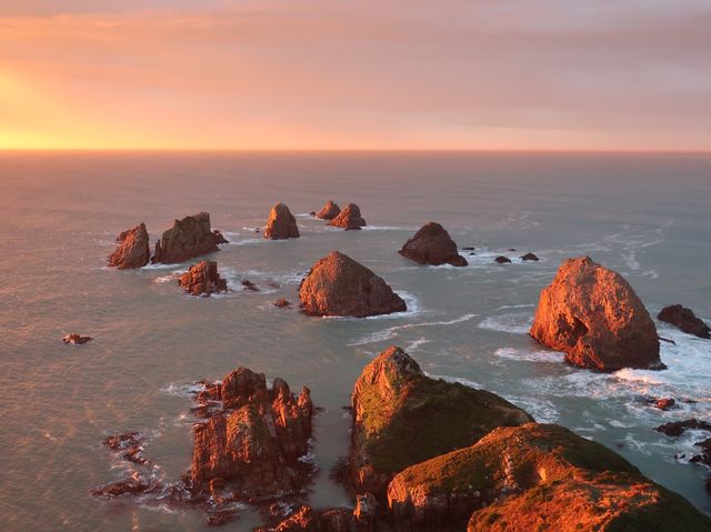 🇳🇿뉴질랜드에서 바라보는 가장 멋진 일출🌅