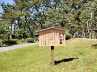 The Hidden Hiyoriyama Park
