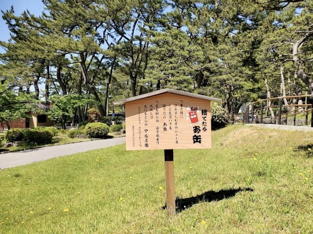The Hidden Hiyoriyama Park