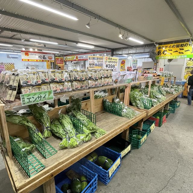 『アグリハウスこちんだ』が最高に面白い‼️