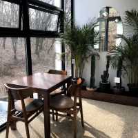 韓国/ソウル【陽川区】山の中のレストラン？🌳コーヒーから、ビールやワインも飲める自然いっぱい隠れ家🤎