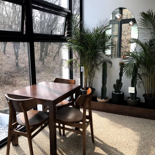 韓国/ソウル【陽川区】山の中のレストラン？🌳コーヒーから、ビールやワインも飲める自然いっぱい隠れ家🤎