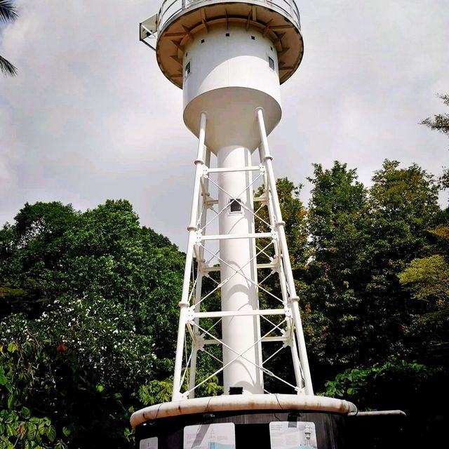 The Raffles Garden At Fort Canning Park