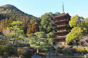 Rurikoji Temple and its pagoda museum
