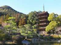Rurikoji Temple and its pagoda museum