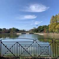 紅葉を見ることができる巨大な公園です
