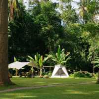 yang na camp