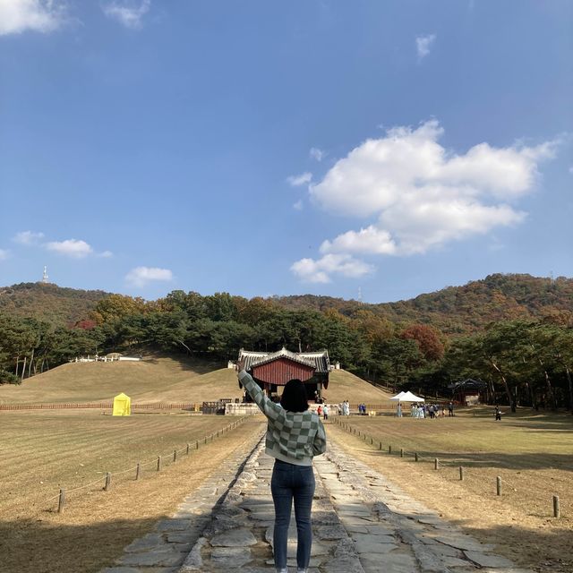 양지 바른 서오릉에서 단풍구경 추천! 🍁🍁